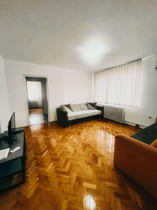 Ultracentral Big Flat Near The Opera Square P17 Timişoara Extérieur photo