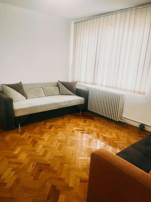Ultracentral Big Flat Near The Opera Square P17 Timişoara Extérieur photo